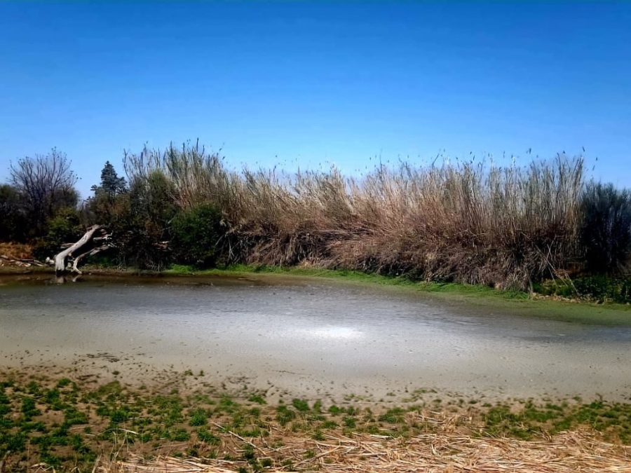 Commercial Property for Sale in Bloemfontein Rural Free State